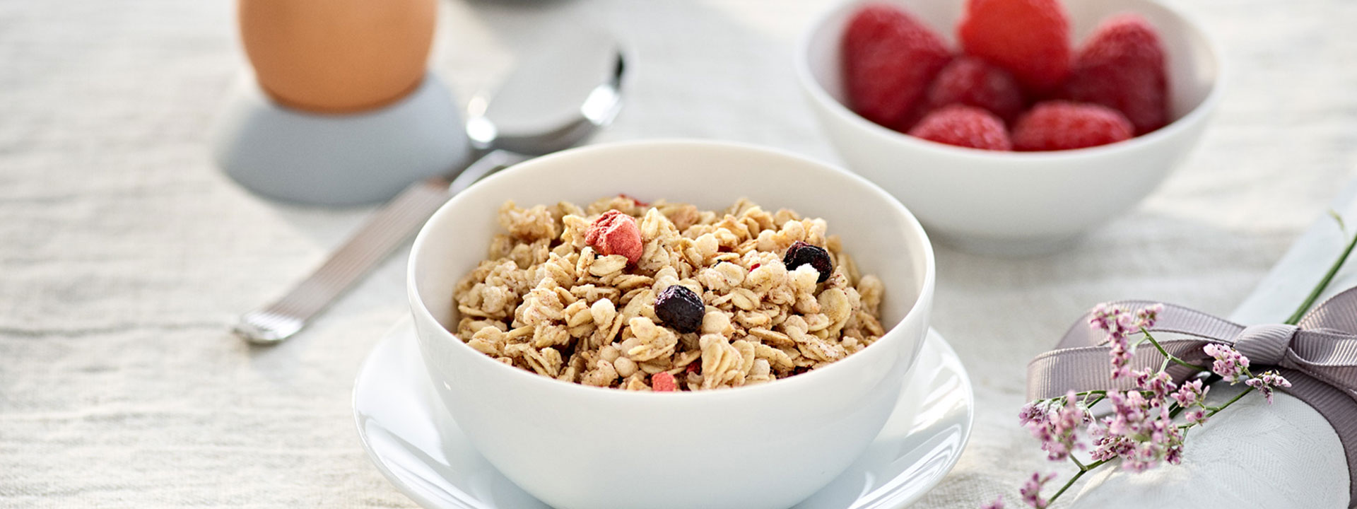 Bannière Jamets Muesli Fruits Rouges Petit Déjeuner Jamets